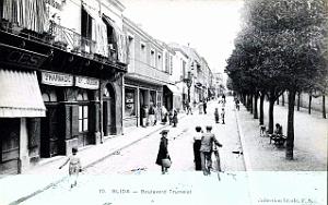 274- Blida - Boulevard Trumelet